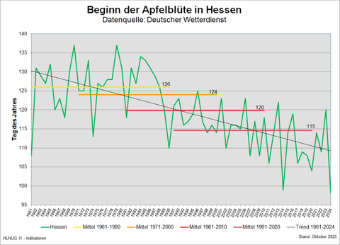 Beginn der Apfelblüte in Hessen