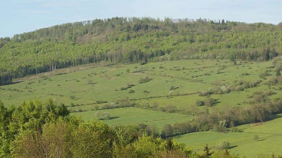 Das Vogelschutzgebiet Hessische Rhön mit Blick auf einen Hang mit Grünland, Feldgehölzen und einem Wald.