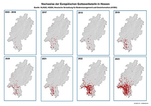 Nachweise der Europäischen Gottesanbeterin in Hessen 