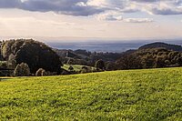 Weitblick im Odenwald