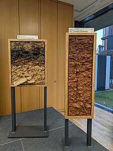 Kastenprofile Kohlenmeiler und Roterde