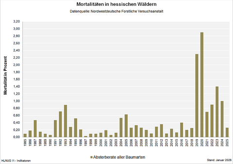 Mortalitäten aller Baumarten