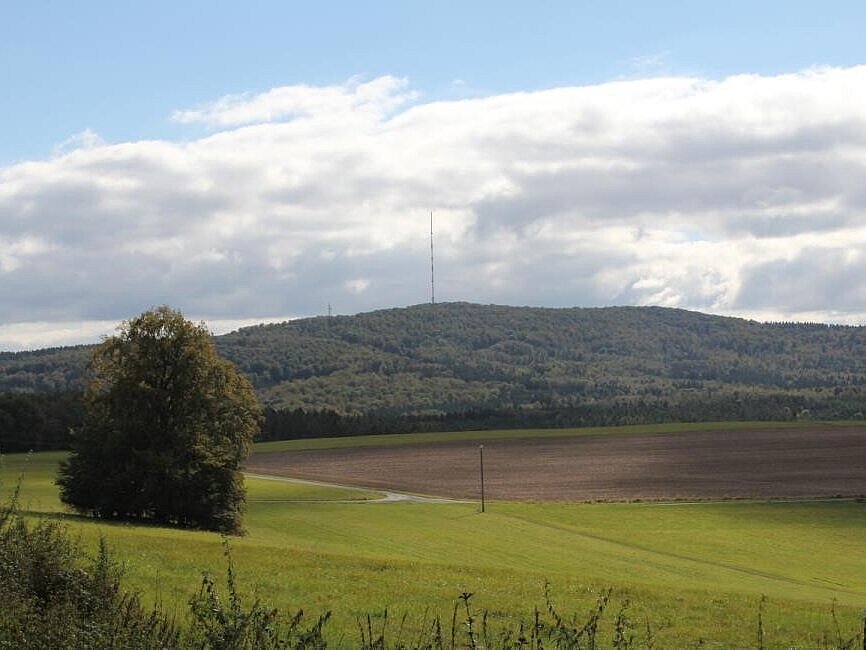 Das Vogelschutzgebiet Knüll mit Blick auf Gründland und einem großen Waldgebiet.