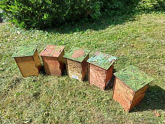 5 Hocker bedruckt mit verschiedenen hessischen Bodenprofilen