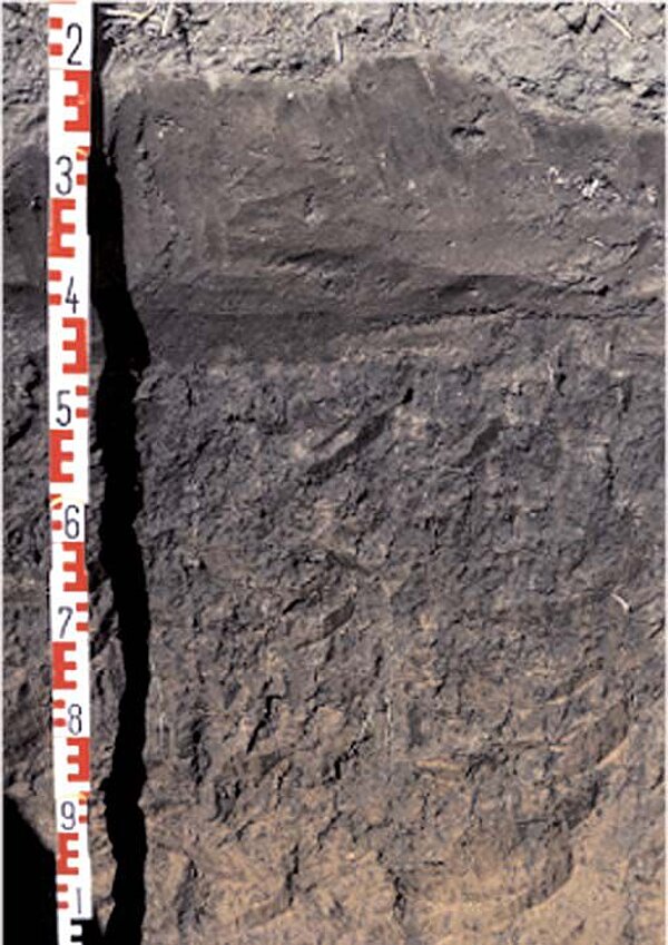 Bodenprofil Schwarzerde