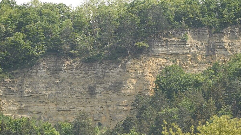 Das Vogelschutzgebiet Felsklippen im Werra-Meissner-Kreis mit Blick auf eine bewachsene Steilwand.