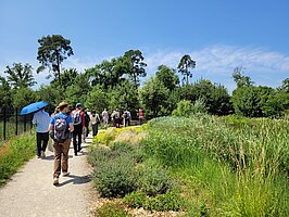 Eine Exkursionsgruppe läuft durch ein begrüntes, parkähnliches Gelände