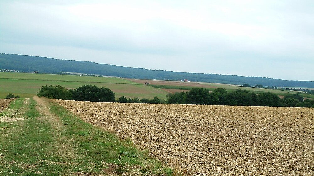 Das Vogelschutzgebiet Feldflur bei Hüttenberg und Schöffengrund mit Blick auf eine Ackerflur.