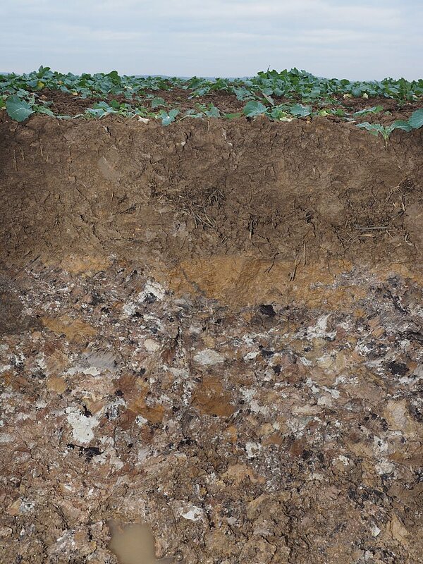 Bodenprofil, das einen aufgeschütteten Boden zeigt