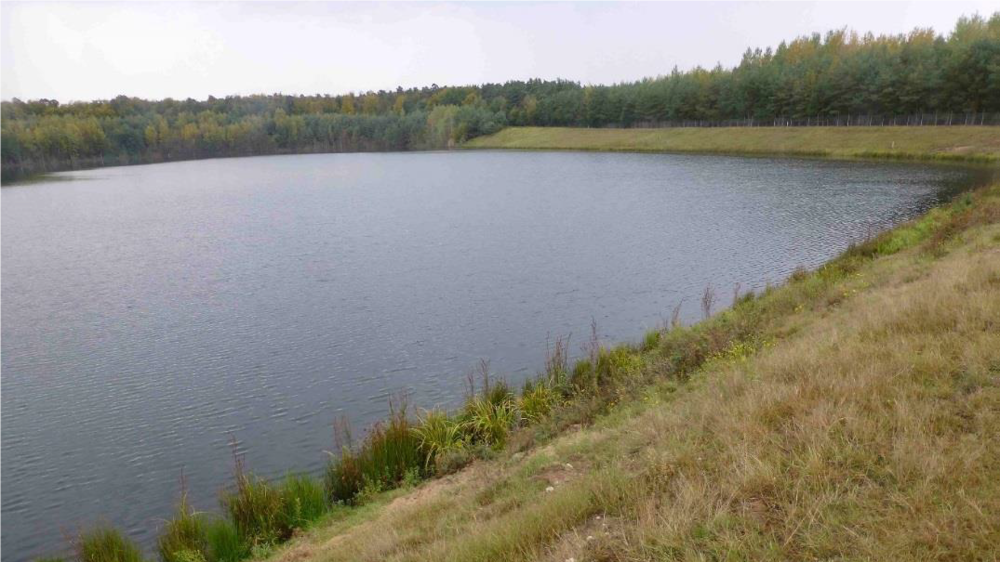 Das Vogelschutzgebiet Tongrube bei Mainhausen mit Blick auf den See und angrenzenden Wäldern.