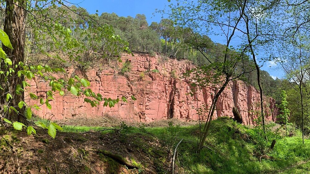 Eine steile Sandsteinwand mit rötlichem Gestein.