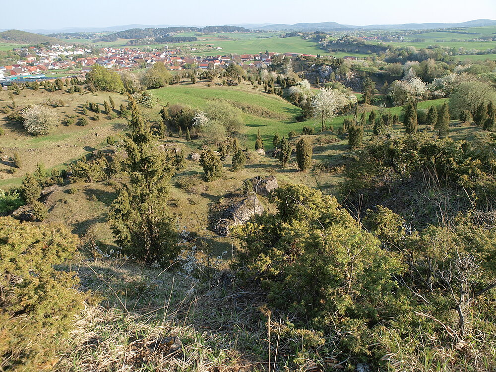 Naturschutzgebiet Kripp- und Hielöcher mit Wacholderheide, einer typischen Vegetation auf den mageren, kalkhaltigen Rendzinen. 