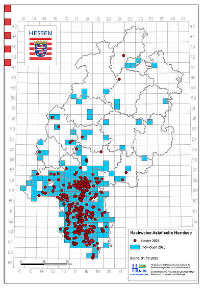 Verbreitungskarte Asiatische Hornisse 2025