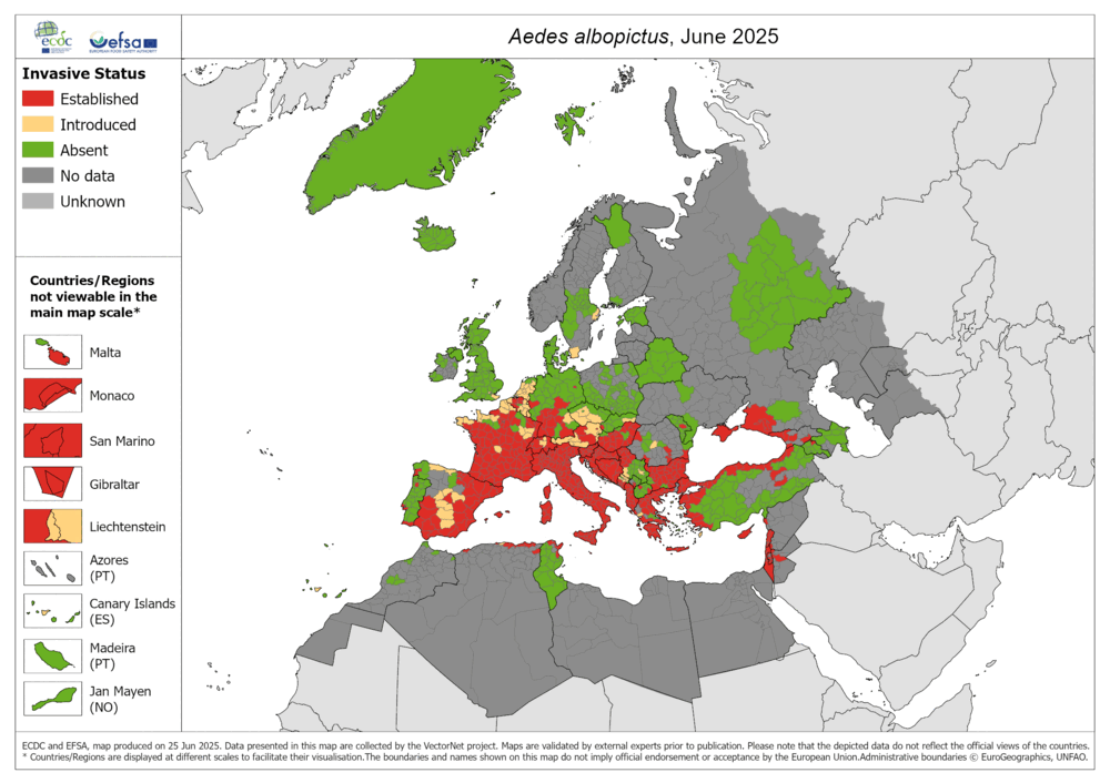 Die Karte zeigt die Verbreitung der Asiatischen Tigermücke in Europa, Stand Juni 2025.