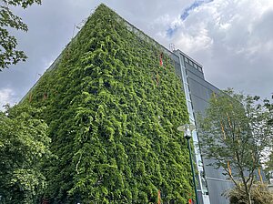 Parkhausbegrünung in Darmstadt