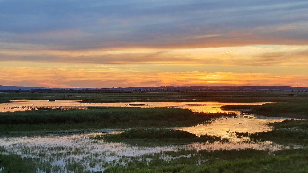 Das Vogelschutzgebiet Wetterau mit stehenden Gewässern und Grünland in der Abenddämmerung.