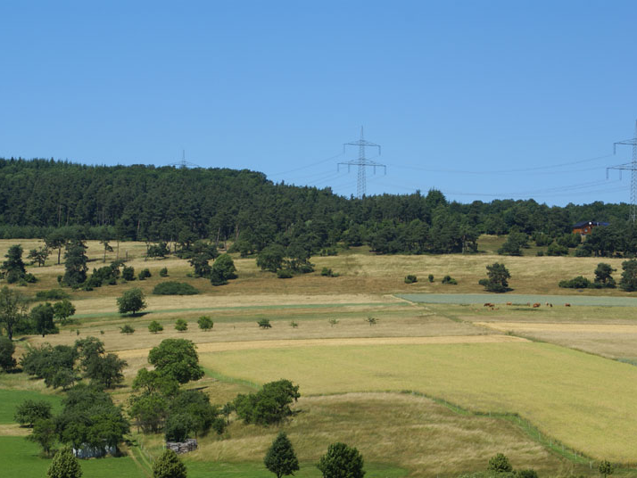 Das Vogelschutzgebiet Hörre bei Hernborn und Lemptal mit Blick auf einen Hang mit Grünland und Feldgehölzen.