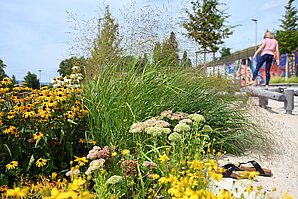 Klimaanpassung-begruenter-Platz-Multifunktionsplatz-1-_c__HMLU_1_.jpg