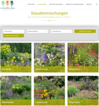screenshot_Staudenmischungen_BDS.png