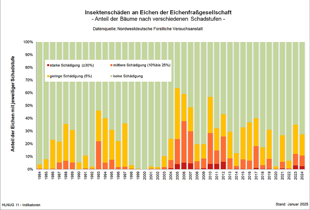Insektenschäden an Eichen der Eichenfraßgesellschaft