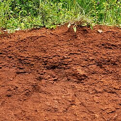 Bodenprofil mit roter Erde