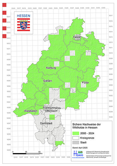 20250428_Wildkatzennachweise_in_Hessen_2000_2024.jpg