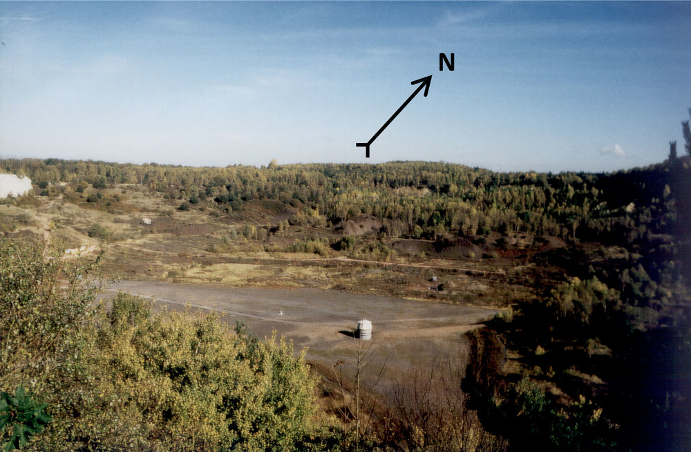 Blick in die Grube Messel