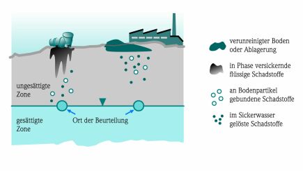 Grafik zur Ausbreitung von Schadstoffen in der ungesättigten Bodenzone