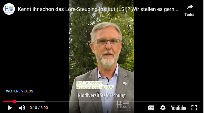Prof. Dr. Schmid stellt das LSI vor