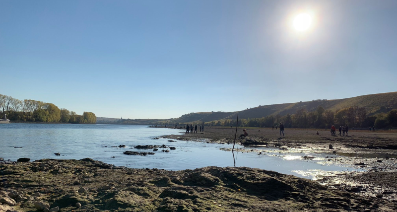 Der Rhein bei Nackenheim (2018)